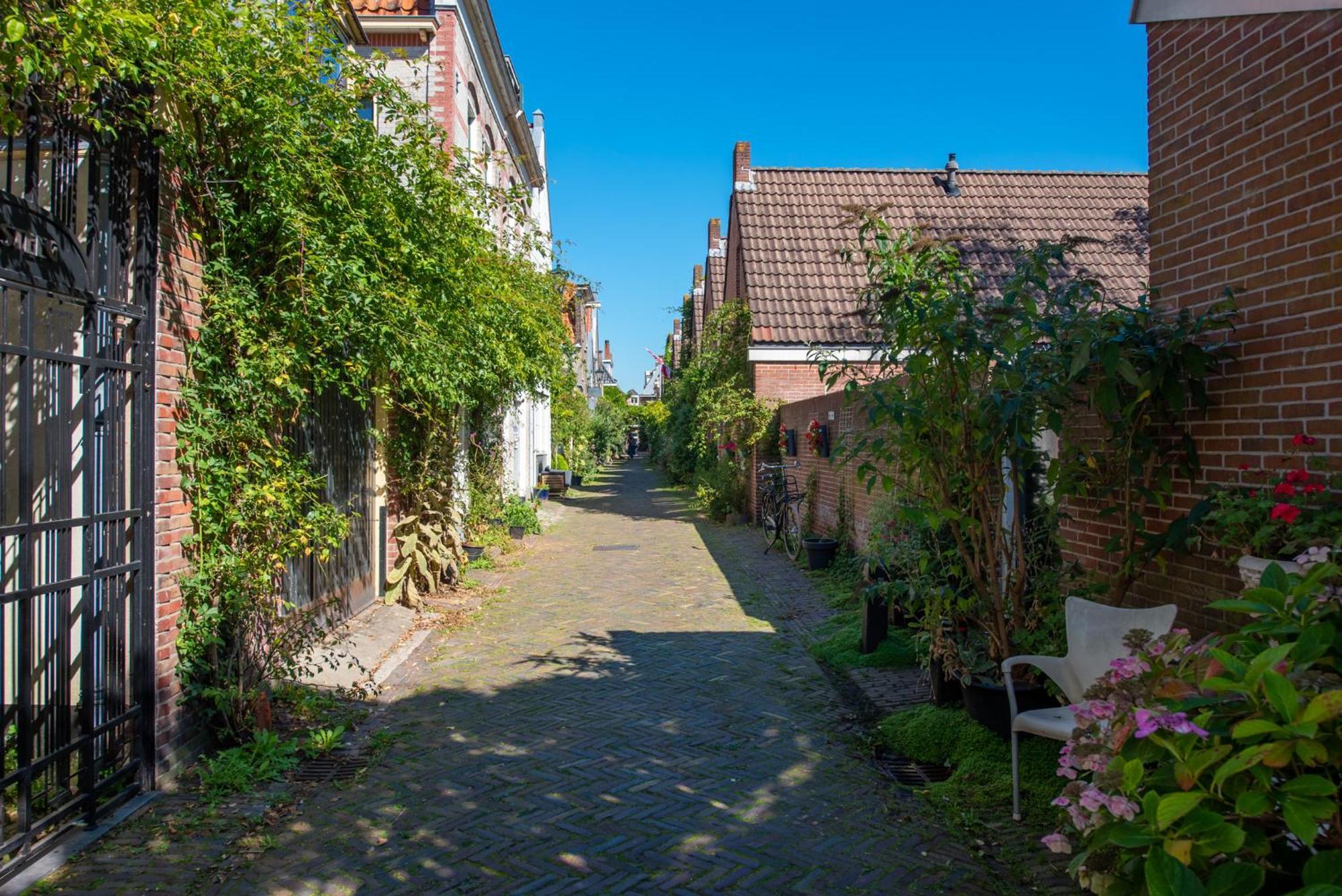 Gezellig Appartement In De Mooie Oude Binnenstad Van Alkmaar Dış mekan fotoğraf